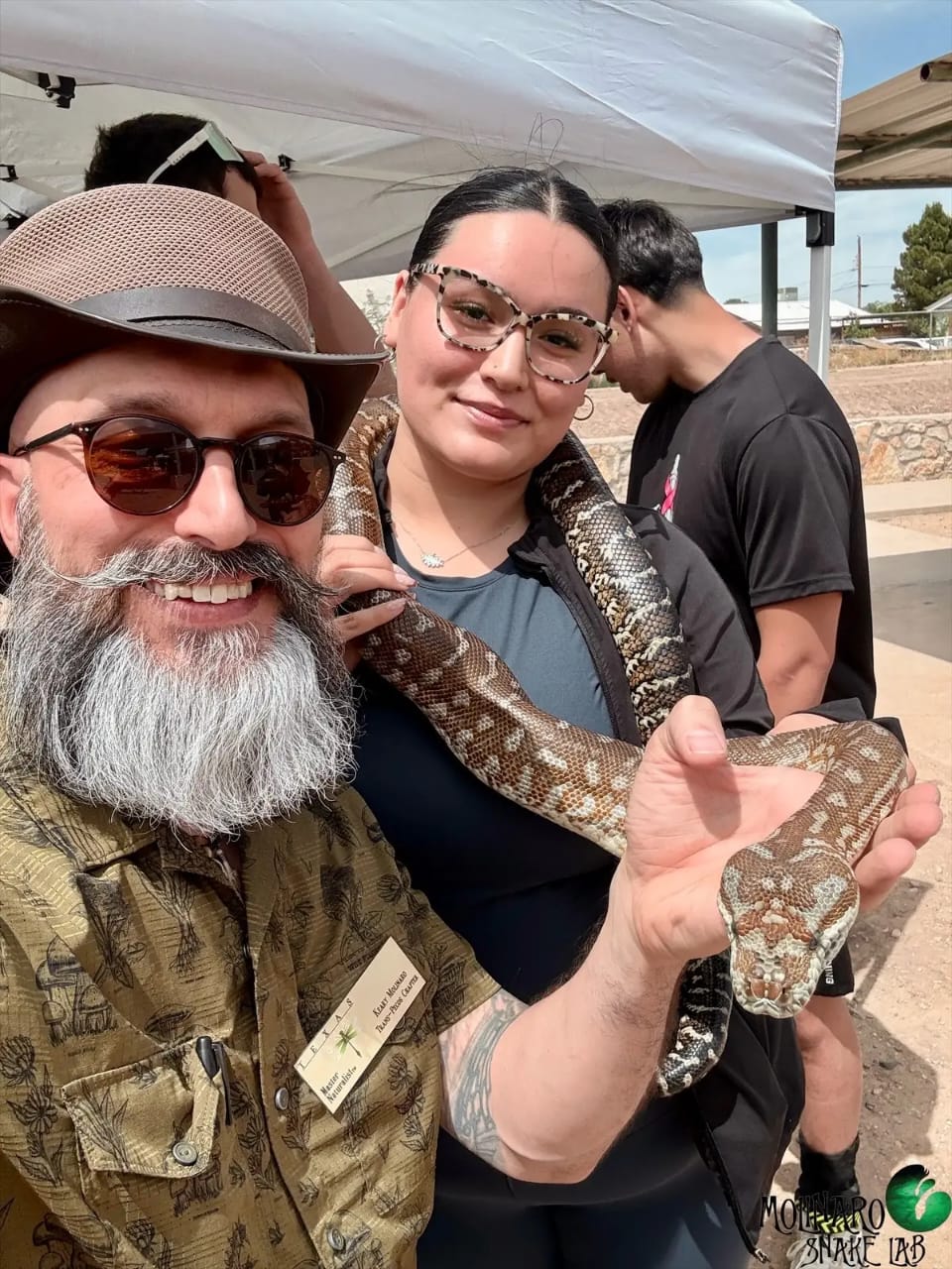 molinaro snake