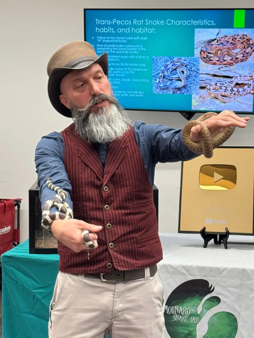 molinaro snake lab