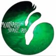 molinaro snake lab